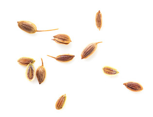 Dill seeds isolated on a white background