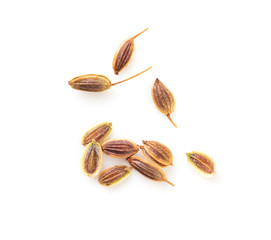 Dill seeds isolated on a white background