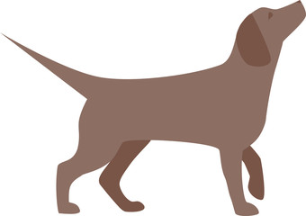 vector image of a dog