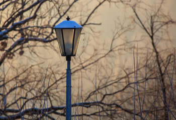 Fototapeta na wymiar Lantern in the park in winter at dawn