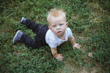 Naklejka na ściany i meble Cute little blond baby boy on fresh green grass. Kid having fun making first steps on mowed natural lawn.