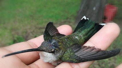 hand with computer mouse © Guillermo