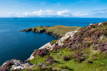 Erika blüht über den Klippen am nördlichsten Punkt der Isle of Skye