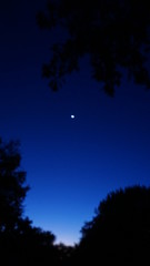 Landscape - Morning Horizon