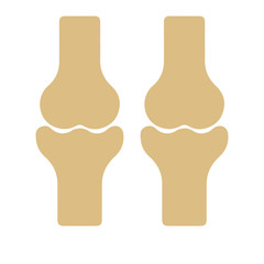 Knee bones vector icon