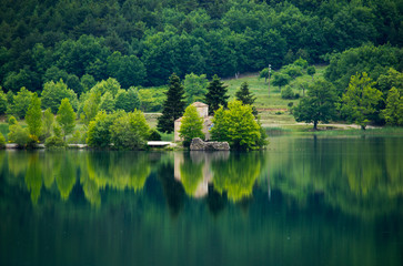 Green lake in deep forest