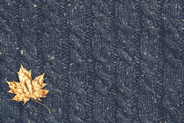 Beatiful autumn background. Gold leaf on a dark blue wool weaving background. Weaving textura.