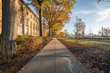 Straight sidewalk and road with trees in autumn