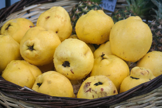 Fresh organic yellow quince. Quince fruit background.