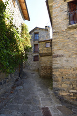 Fototapeta na wymiar village of Buesa, Huesca province, Aragon, Spain