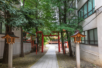 Fototapeta na wymiar Red Torii Gates at Hanazono Jinja Shrine, Tokyo, Japan