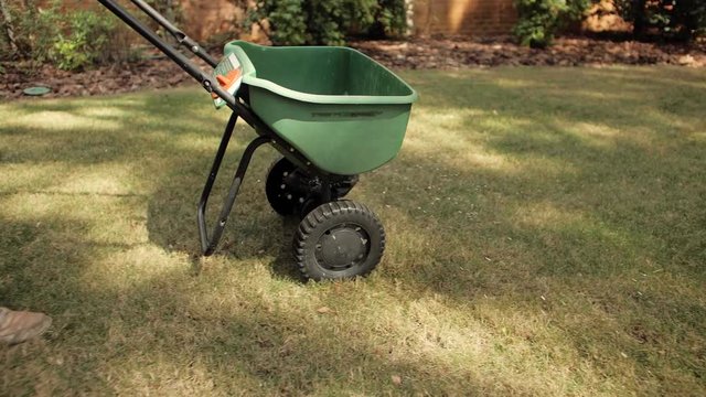 Man fertilizing and seeding residential backyard lawn with manual grass fertilizer spreader.