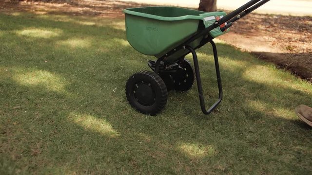 Man fertilizing and seeding residential backyard lawn with manual grass fertilizer spreader.