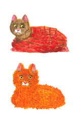 watercolor drawing of a cat on a white