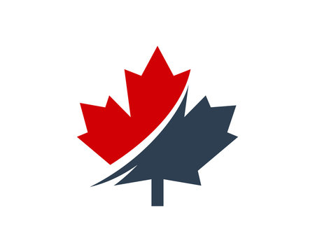 Canadian Maple leaf Logo, Maple Leaf Illustration Vector Design