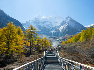 Travelers walking on walkway with snow mountains and autumn leaves