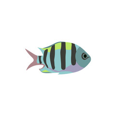 Vector aquarium fish silhouette illustration. Colorful cartoon flat aquarium fish icon for your design.