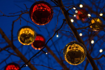Christmas decorations hanging on a tree