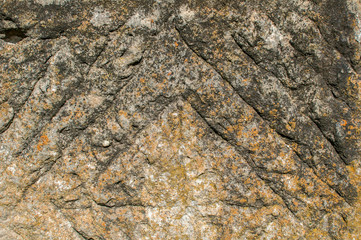 Old weathered mossy sandstone surface with lichens closeup as stone background