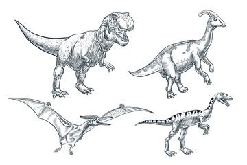 Dinosaur hand drawn sketch illustration. Dino collection, isolated on white background. Vector print design elements © Qualit Design