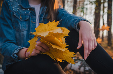 Yellow maple leaves in beautiful manicured female hands close up. A girl with long dark brown hair in a denim jacket is sitting in the autumn forest in the sunset light. Selective focus.