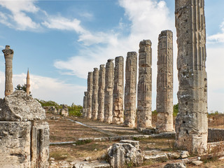 Corynthian columns of Zeus Olbios Temple, ancient Anatolian architecture of the Hellenistic period