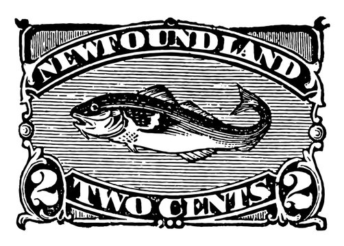 New foundland 2 cents stamp, 1880 vintage illustration