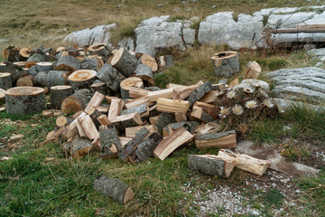 Chopped logs in the clearing behind the house. Countryside, remote places. Preparing for the winter. Harvesting logs.
