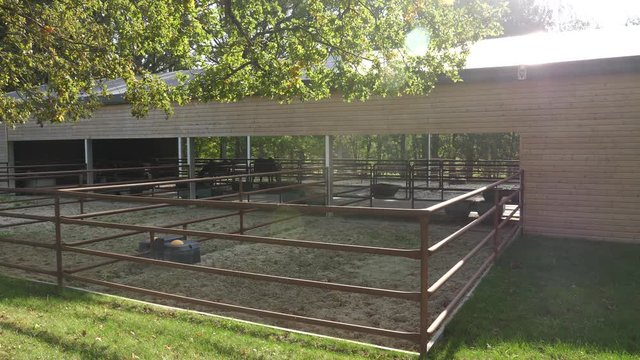 station de stabulation pour chevaux