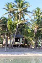 beach house, fijian island, palm trees