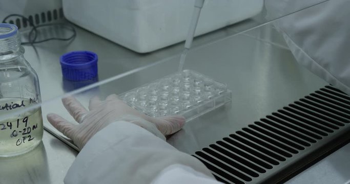 Wissenschaftler untersucht Corona Covid-19 Probe / Scientist taking Probes 4K RED Footage