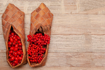 Dry multi-colored maple leaves in bast shoes lie on the table. Autumn mood