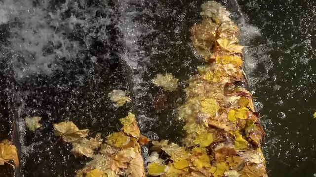 Autumn, water from a waterfall falls on yellow leaves. Sofievsky Park, Uman, Ukraine