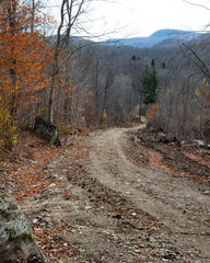 Logging road in Adirondack Mountains