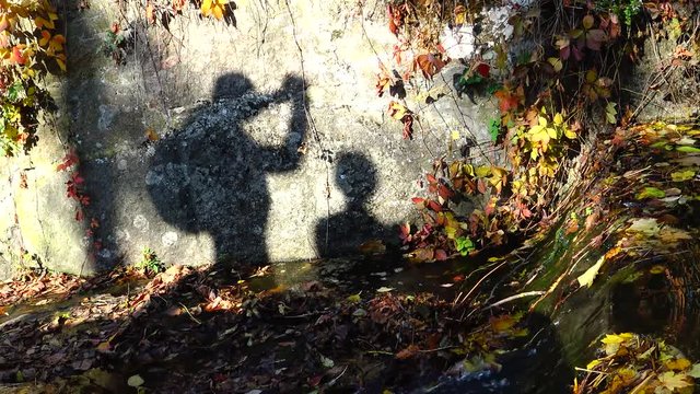 Shadows of people on the wall, yellow leaves in the water of a stream in Sofievsky park, Uman, Ukraine