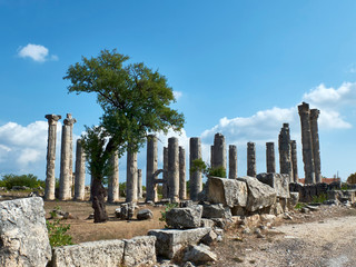 Corinthian columns of Zeus Olbios Temple, ancient Anatolian architecture of the Hellenistic period