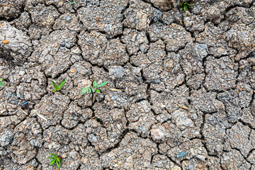 Arid cracked ground for use as a background.