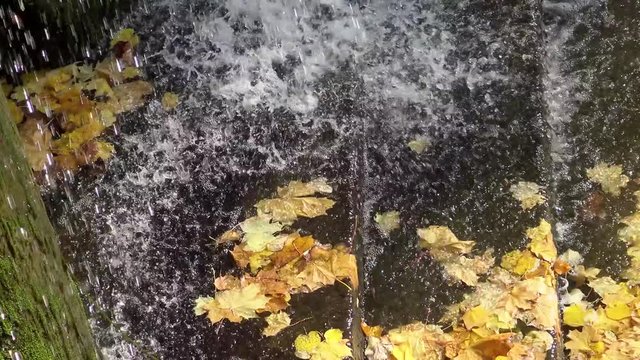 Autumn, water from a waterfall falls on yellow leaves. Sofievsky Park, Uman, Ukraine
