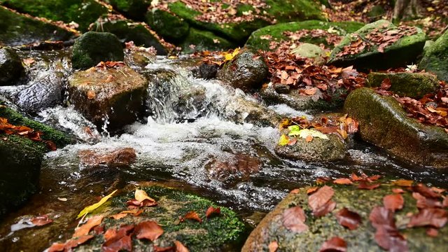 Autumn mood with colorful leaves at a waterfall with cascades. Concept: autumn time or weather