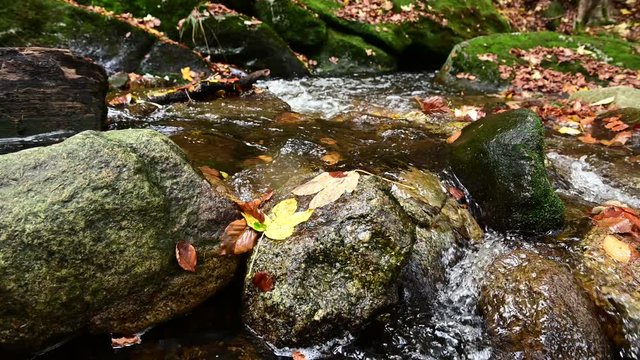 Autumn mood with colorful leaves at a waterfall with cascades. Concept: autumn time or weather