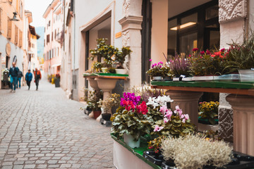 Fototapeta premium Flowers on an old Italian street in the city of Arco in focus. Street background blurred