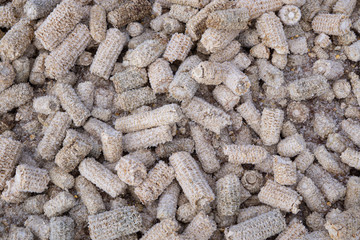 Dry corncob on a melted dry corncob,Corn pods that have been seeded.