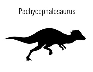 Pachycephalosaurus. Ornithischian dinosaur. Monochrome vector illustration of silhouette of prehistoric creature pachycephalosaurus isolated on white background. Stencil. Huge fossil dinosaur.