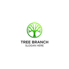 branch of tree logo templates