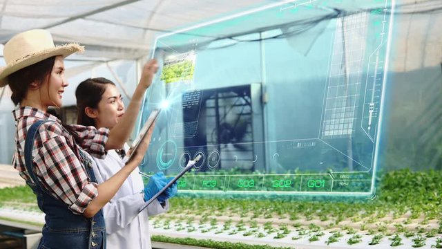 Two agriculture scientists working with a digital tablet with holographic technology of the future in a small business greenhouse hydroponic vegetable farm,Smart agriculture Smart farming