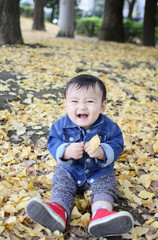 Baby boy playing among fallen leaves of ginkgo