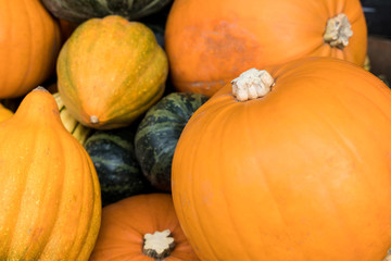 Fresh seasonal autumn vegetables display with pumpkins and marrows