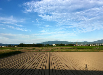 Shadow of runner goes across field and evening blue sky