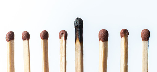 a single unique wooden match among the other regular ones, the teamwork idea