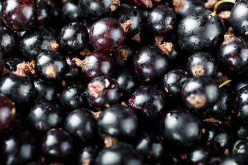 fresh currants as background